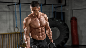 Muscles and How to Develop the Muscles -