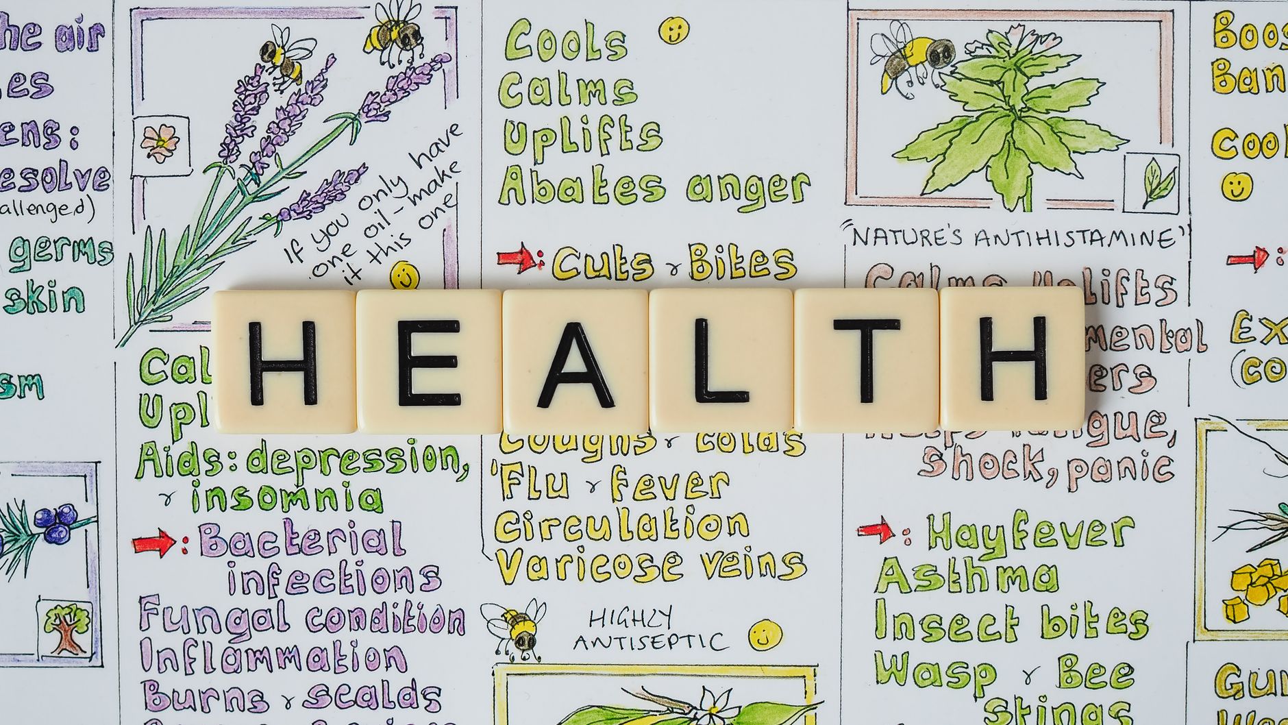 Creative representation of herbal health benefits using illustrated letter tiles spelling 'health'. — Essentials To Know Abou